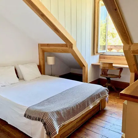 Daire Penthouse With A View In The Centre *